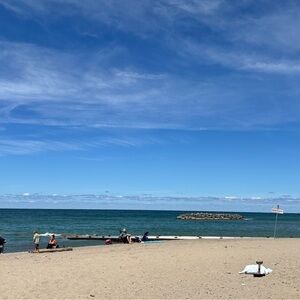 Meet your Posher, Tracey